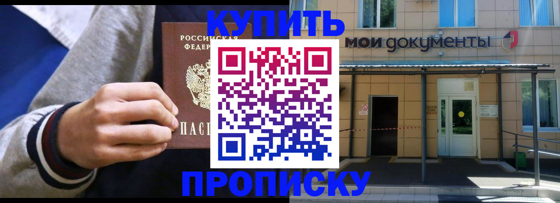 прописка паспорт в Пионерском